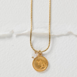 Sterrenbeeld ketting Steenbok