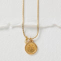 Sterrenbeeld ketting Vissen