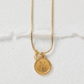 Sterrenbeeld ketting Vissen