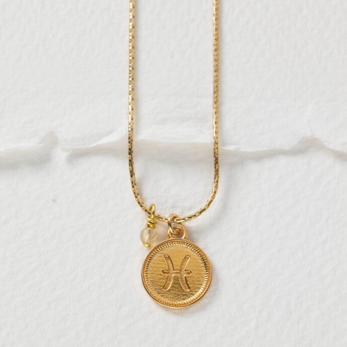 Sterrenbeeld ketting Vissen