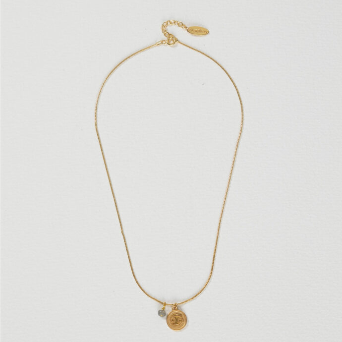 Sterrenbeeld ketting Kreeft