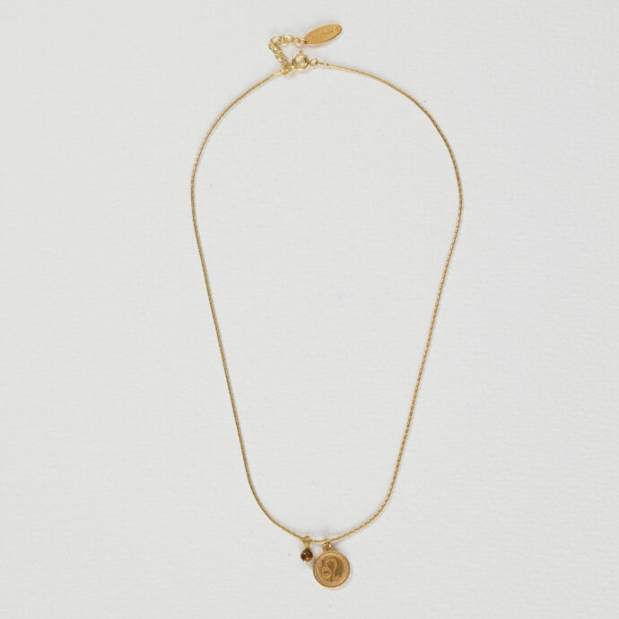 Sterrenbeeld ketting Leeuw