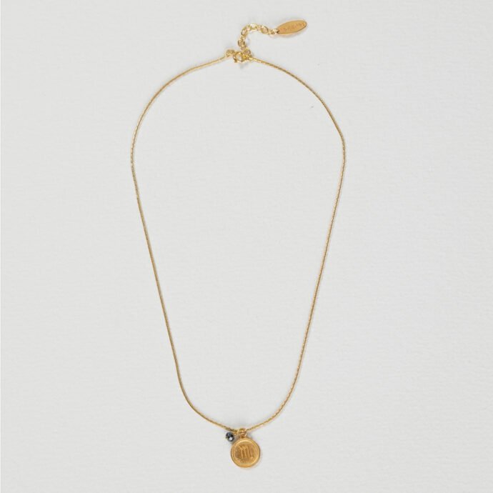Sterrenbeeld ketting Schorpioen