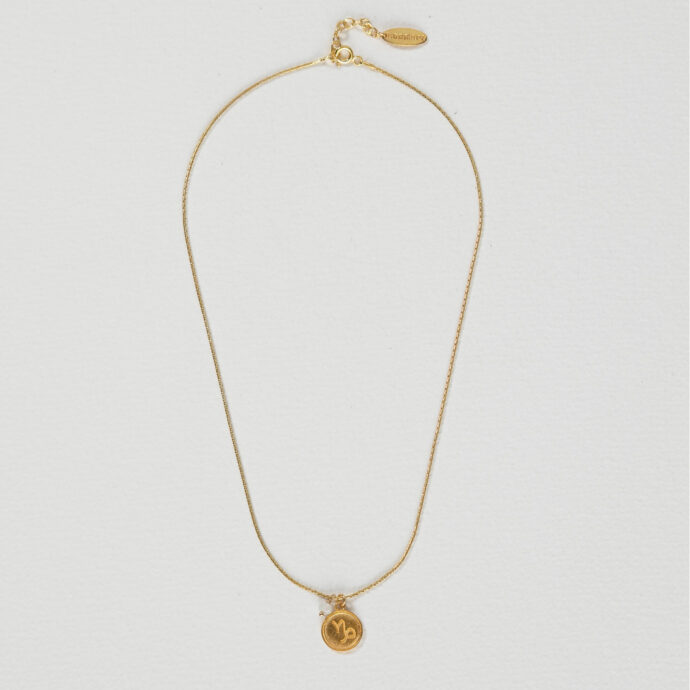 Sterrenbeeld ketting Steenbok
