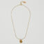 Sterrenbeeld ketting Vissen