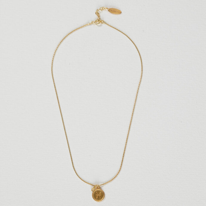 Sterrenbeeld ketting Vissen