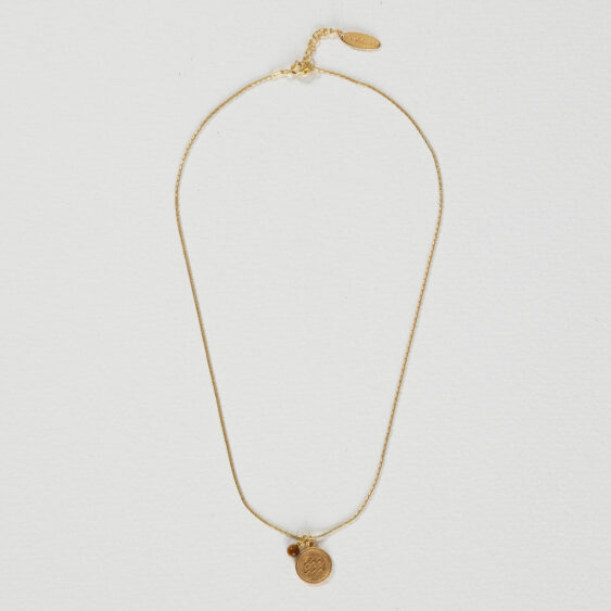 Sterrenbeeld ketting Waterman
