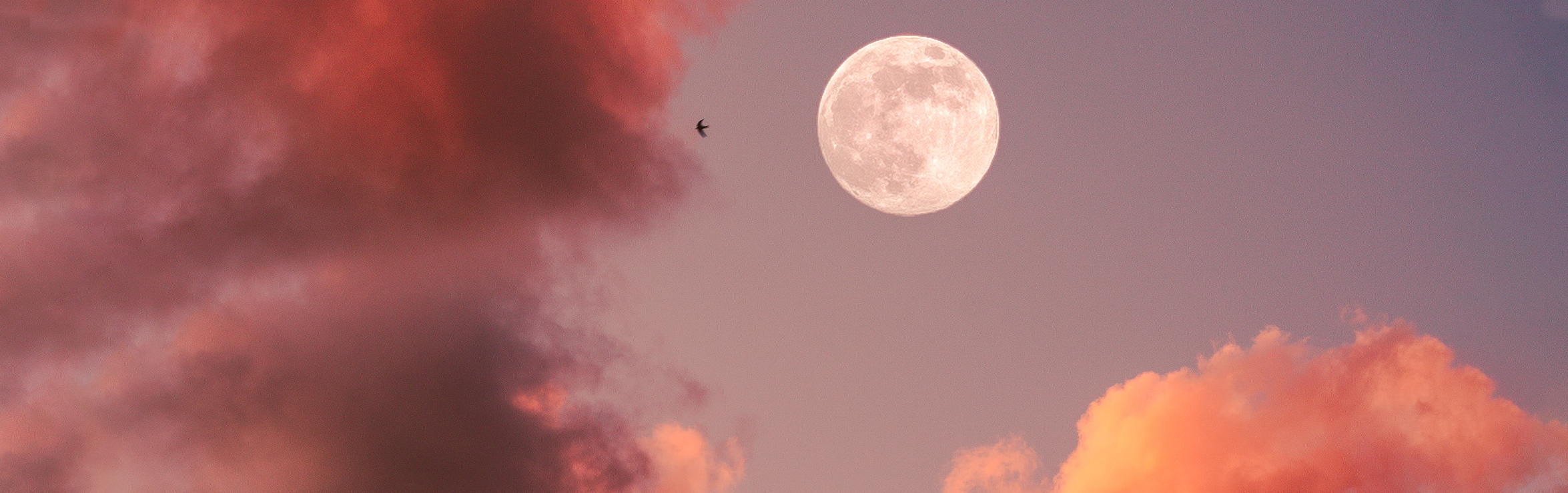 Roze Maan : Roze Supermaan Dit Is Je Maanhoroscoop Happinez