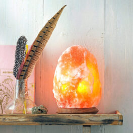 Himalaya zoutlamp groot