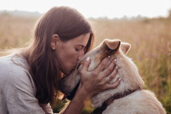 Waarom knuffelen met de hond kalmerend werkt