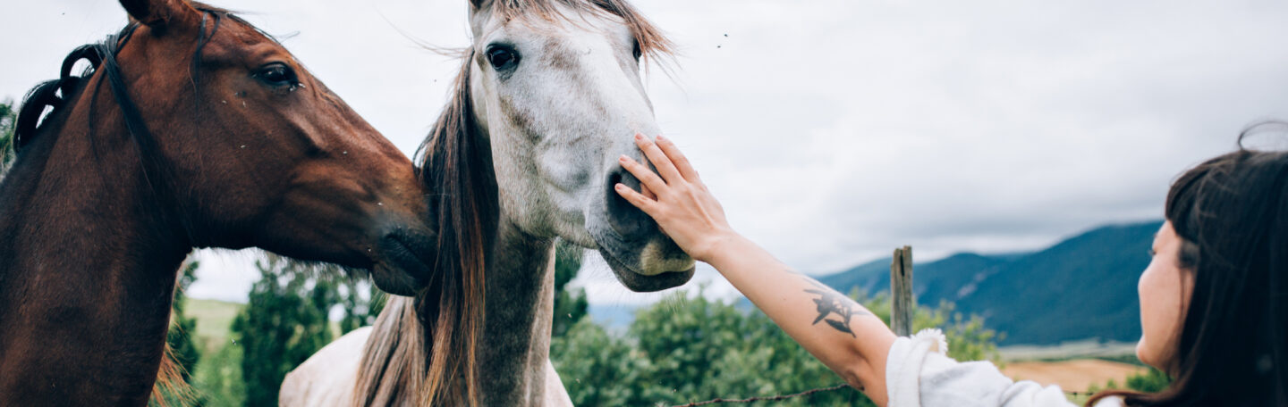 Dit is waarom je gelukkig wordt van paarden