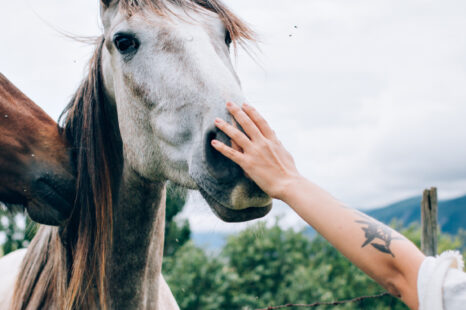 Dit is waarom je gelukkig wordt van paarden