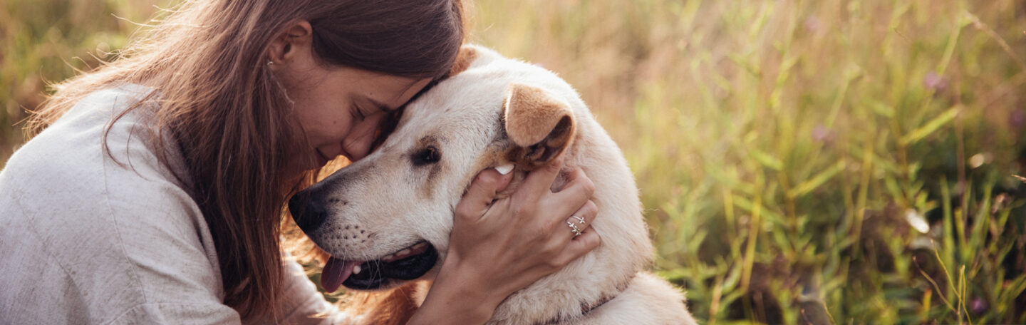 Wat je van honden kunt leren over mindfulness