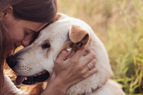 Wat je van honden kunt leren over mindfulness