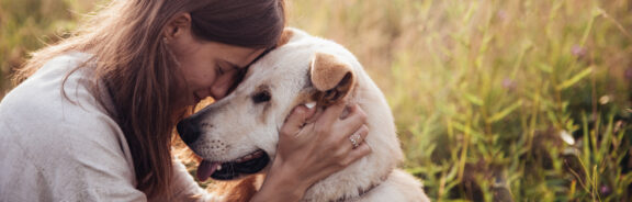 Wat je van honden kunt leren over mindfulness