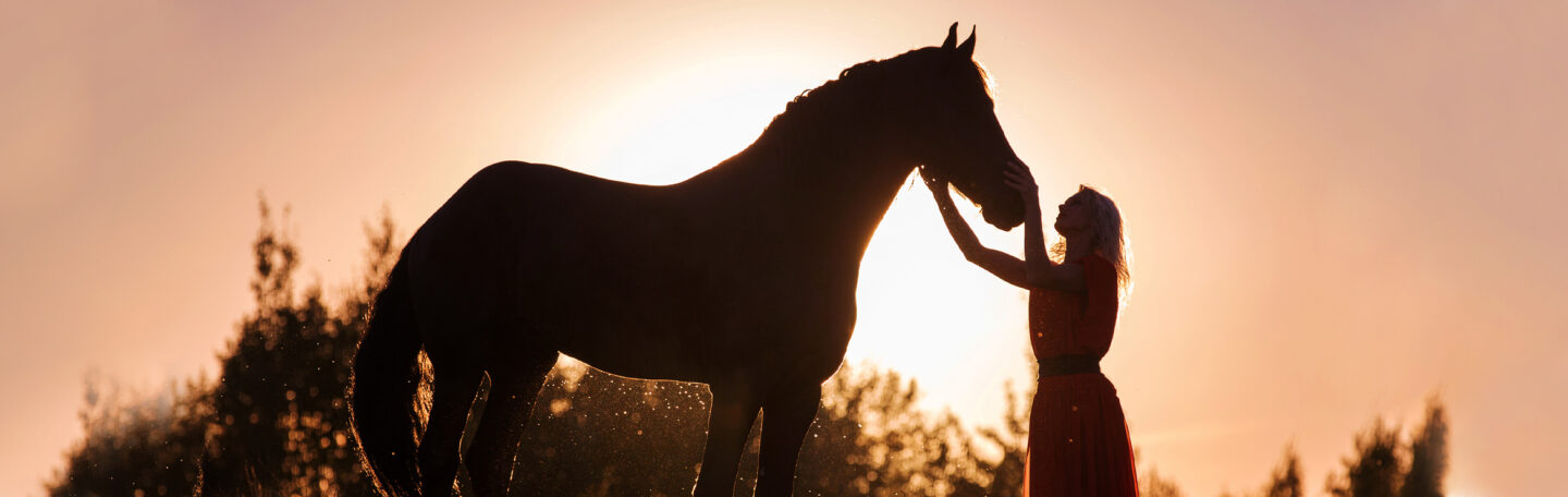 Word je eigen paardenfluisteraar en kom tot rust