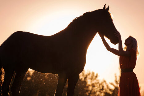 Word je eigen paardenfluisteraar en kom tot rust