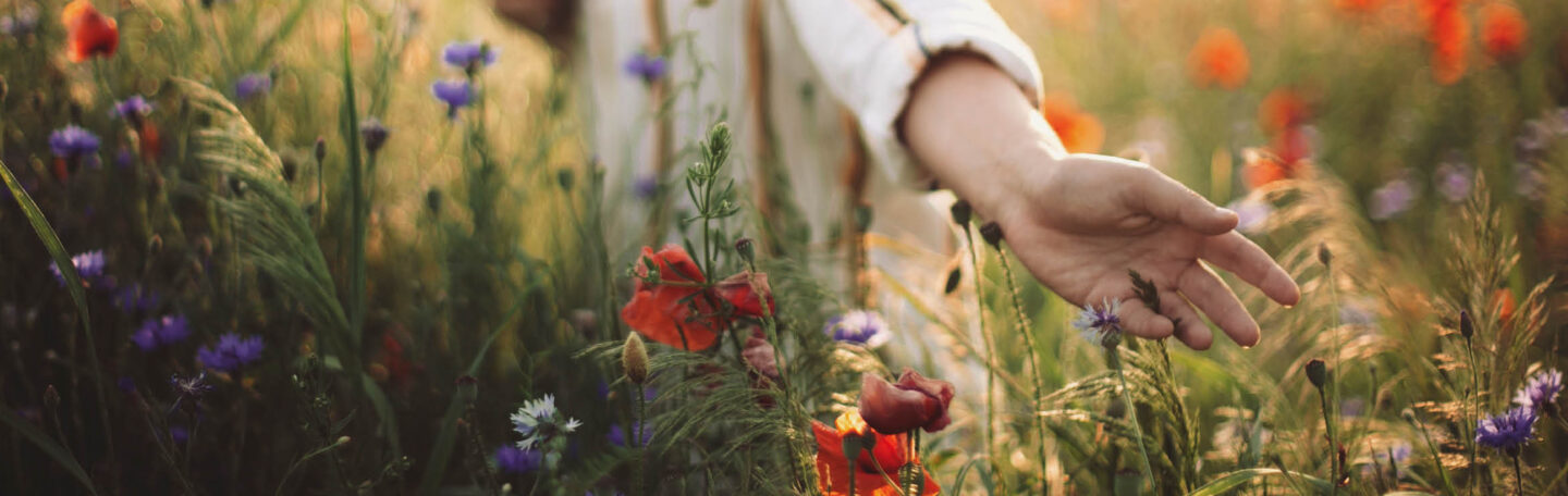 De therapeutische werking van wandelen: het kan helpen tegen een angststoornis