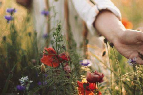 De therapeutische werking van wandelen: het kan helpen tegen een angststoornis