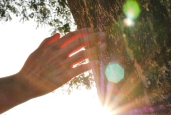 Toe aan ontspanning? Laat de kracht van de natuur voor je werken