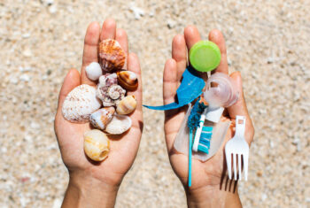 Wat denk jij: heeft het opruimen van plastic op een strand eigenlijk wel zin?