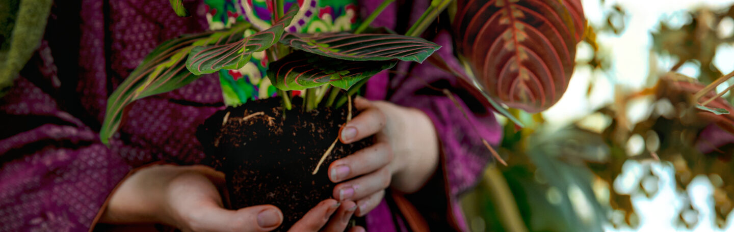 3 magische tips om je leven te rewilden (erg leuk met kinderen!)