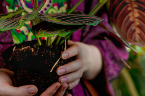 3 magische tips om je leven te rewilden (erg leuk met kinderen!)