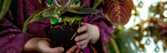 3 magische tips om je leven te rewilden (erg leuk met kinderen!)