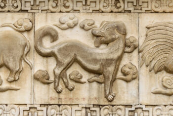 Is je Chinese teken Hond? Zo combineert het met je westerse sterrenbeeld