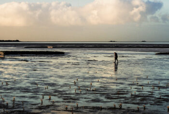 Waarom de film Silence of the Tides je gaat raken