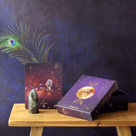 Giftbox Leeuw