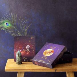 Giftbox Leeuw
