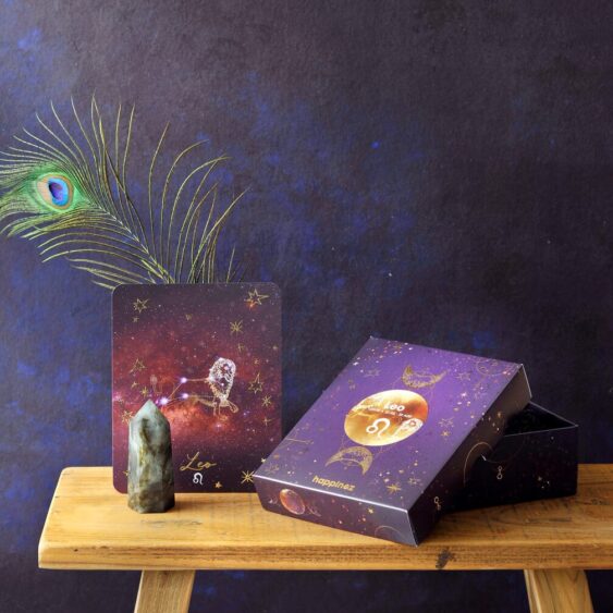 Giftbox Leeuw
