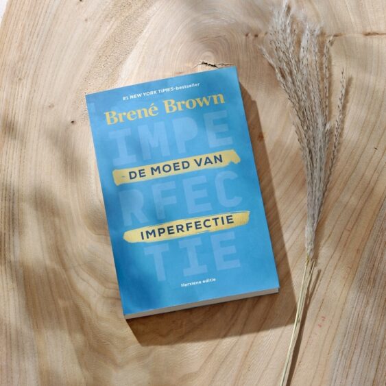 Boek – De moed van imperfectie