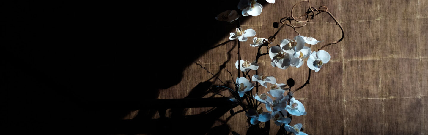 Deze planten zorgen voor geluk en voorspoed volgens feng shui