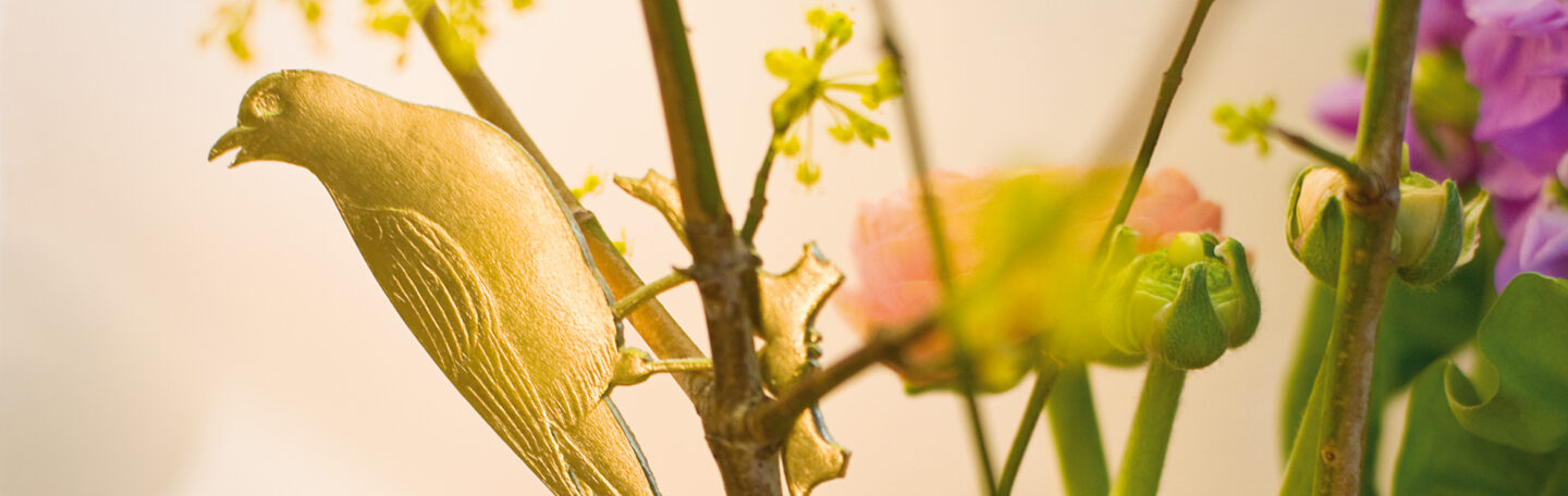 Deze kamerplanten hebben een (genees)krachtige werking