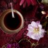De kunst van koffie zetten: zo wordt het een liefdevol ritueel