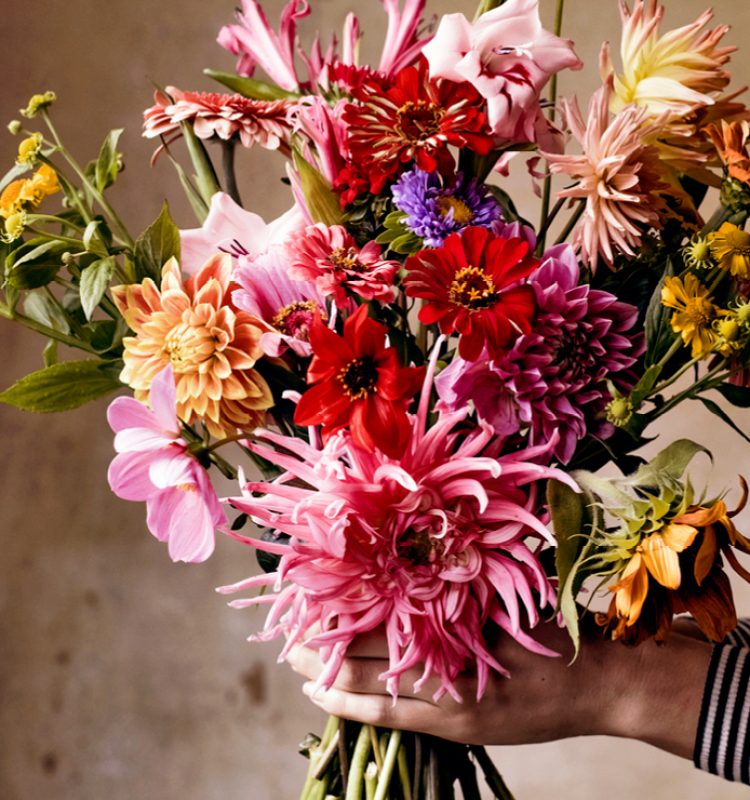 Lieve zieke, Susan Smit schreef je deze brief