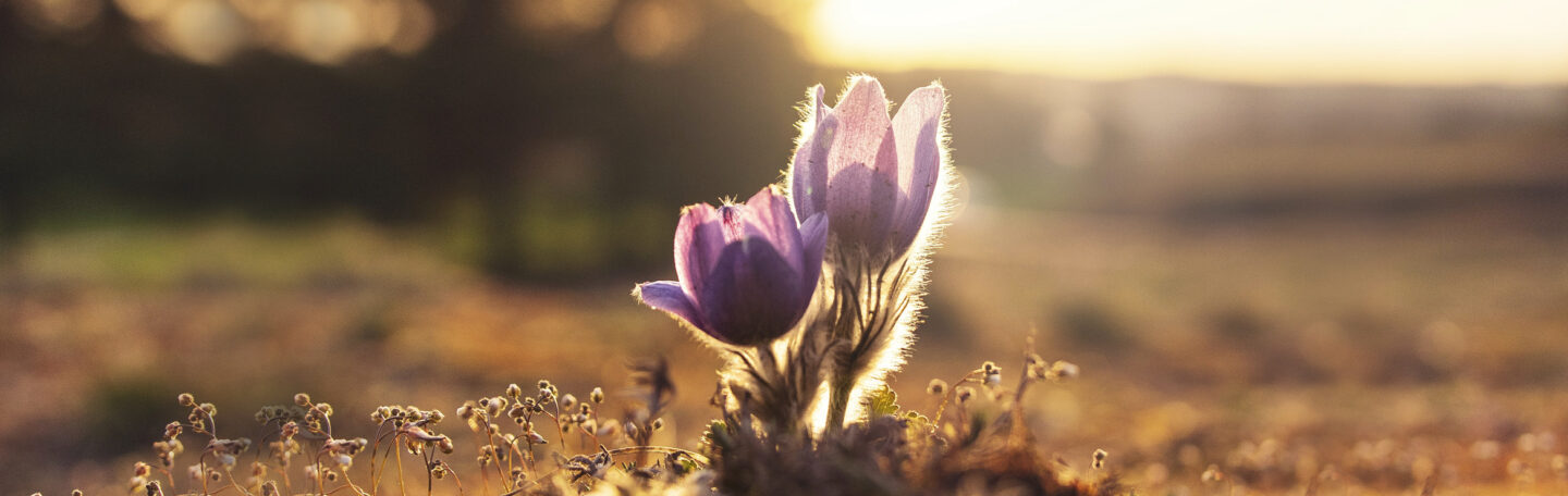 Toe aan een frisse start deze lente? Laat dit stappenplan jouw gids richting verandering zijn