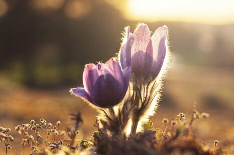 Toe aan een frisse start deze lente? Laat dit stappenplan jouw gids richting verandering zijn