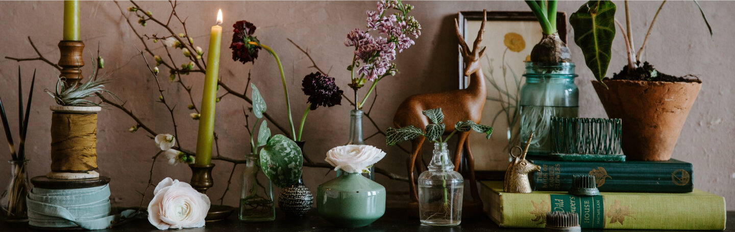 Haal groen in huis (doen hoor, want planten maken je blij)