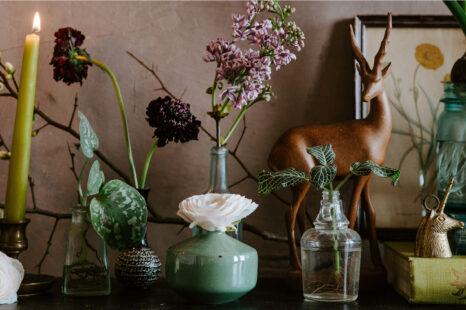 Haal groen in huis (doen hoor, want planten maken je blij)