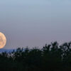 Volle maan in Weegschaal: het astrologisch nieuwjaar breekt aan