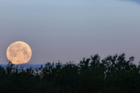 Volle maan in Weegschaal: het astrologisch nieuwjaar breekt aan