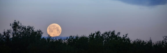 Volle maan in Weegschaal: het astrologisch nieuwjaar breekt aan
