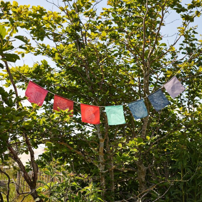 Geluksslinger Rainbow