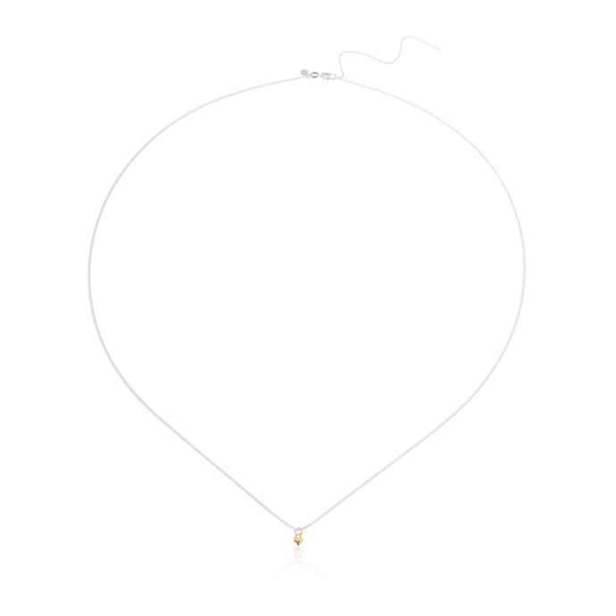 Buikketting hart