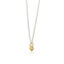 Buikketting hart