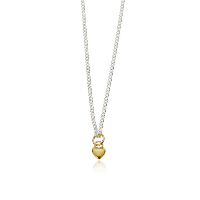 Buikketting hart