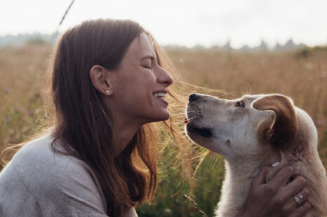 10 levenslessen die je kunt leren van je hond